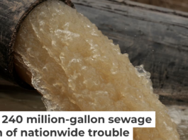 A pipe carries water and raw sewage into the C&O Canal, parallel to the Potomac River. Chip Somodevilla/Getty Images